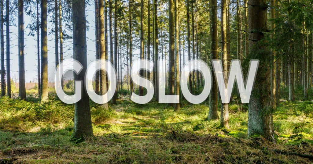 Go Slow - Entschleunigung und Bewusstsein